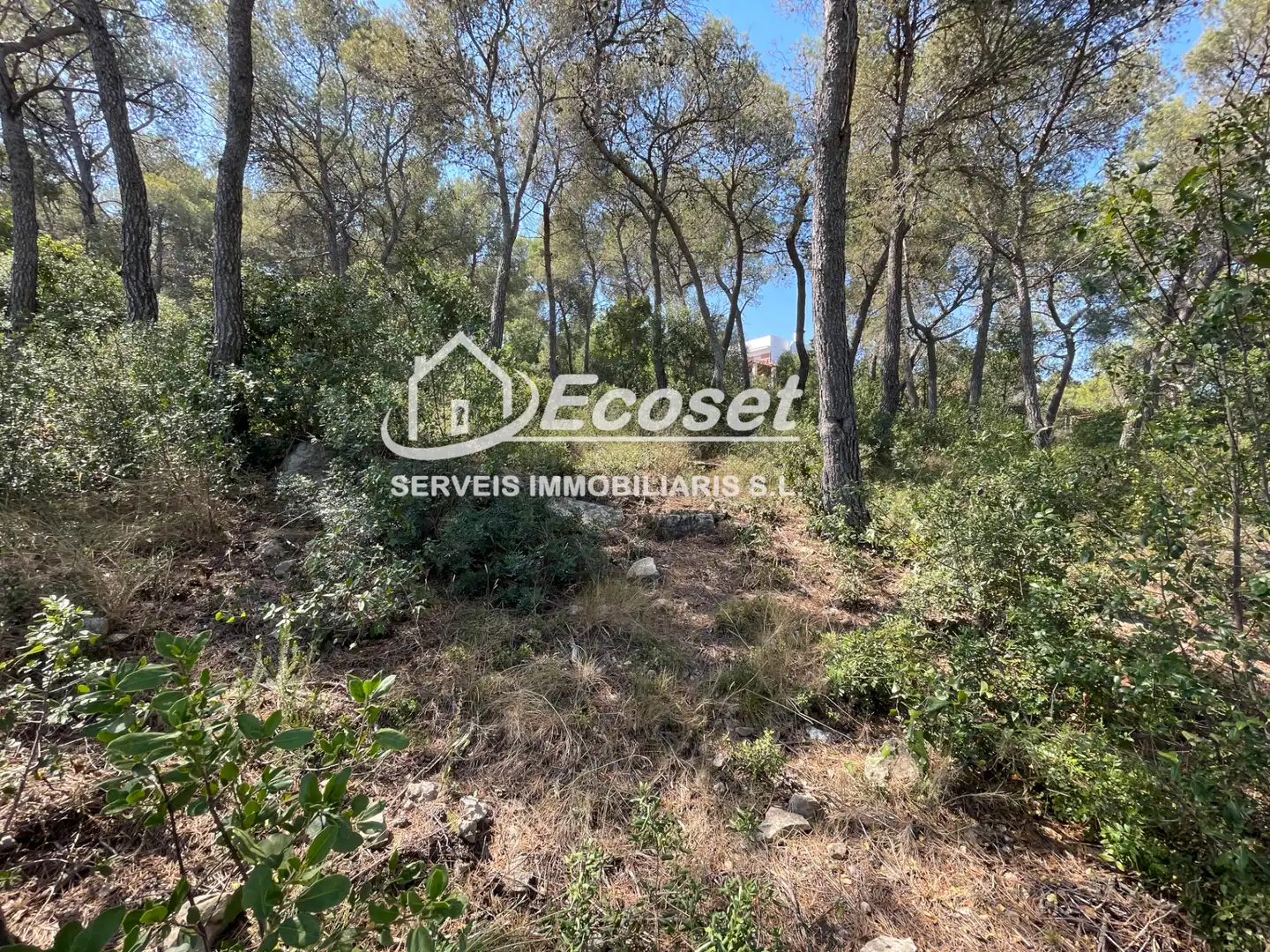 Residencial en venta en Cervelló