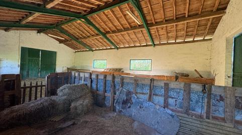 Foto 5 de Casa o xalet en venda a Zuaznabar Aldea Barreiatua, 24, Altzo, Gipuzkoa