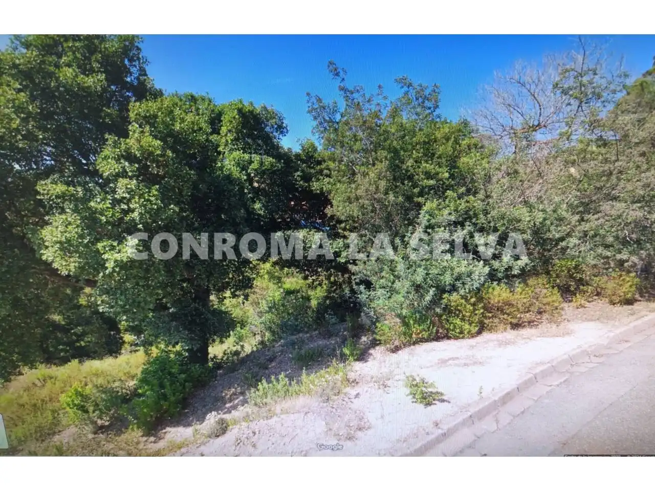Terreno rústico en venta en Avenida SENYERA