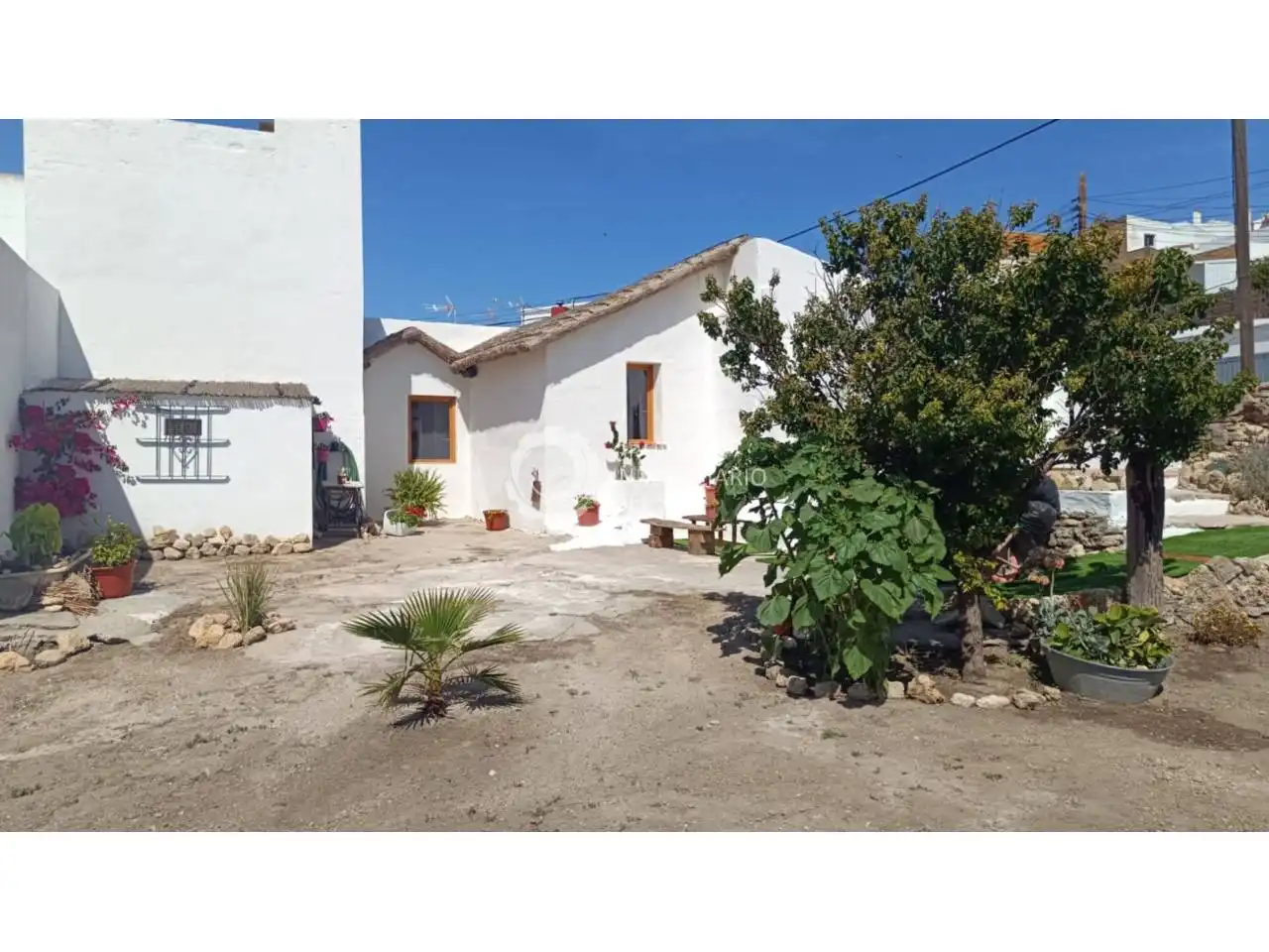 Vista exterior de Casa o xalet en venda en Benalup-Casas Viejas amb Jardí privat, Terrassa i Moblat