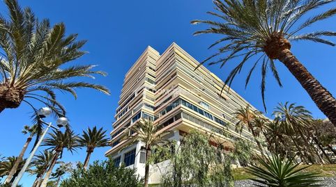 Photo 5 of Flat for sale in Marazul - Ricasa, Adeje