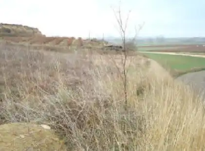 Rural land for sale in Pl Pago de la Celada, imagen 7