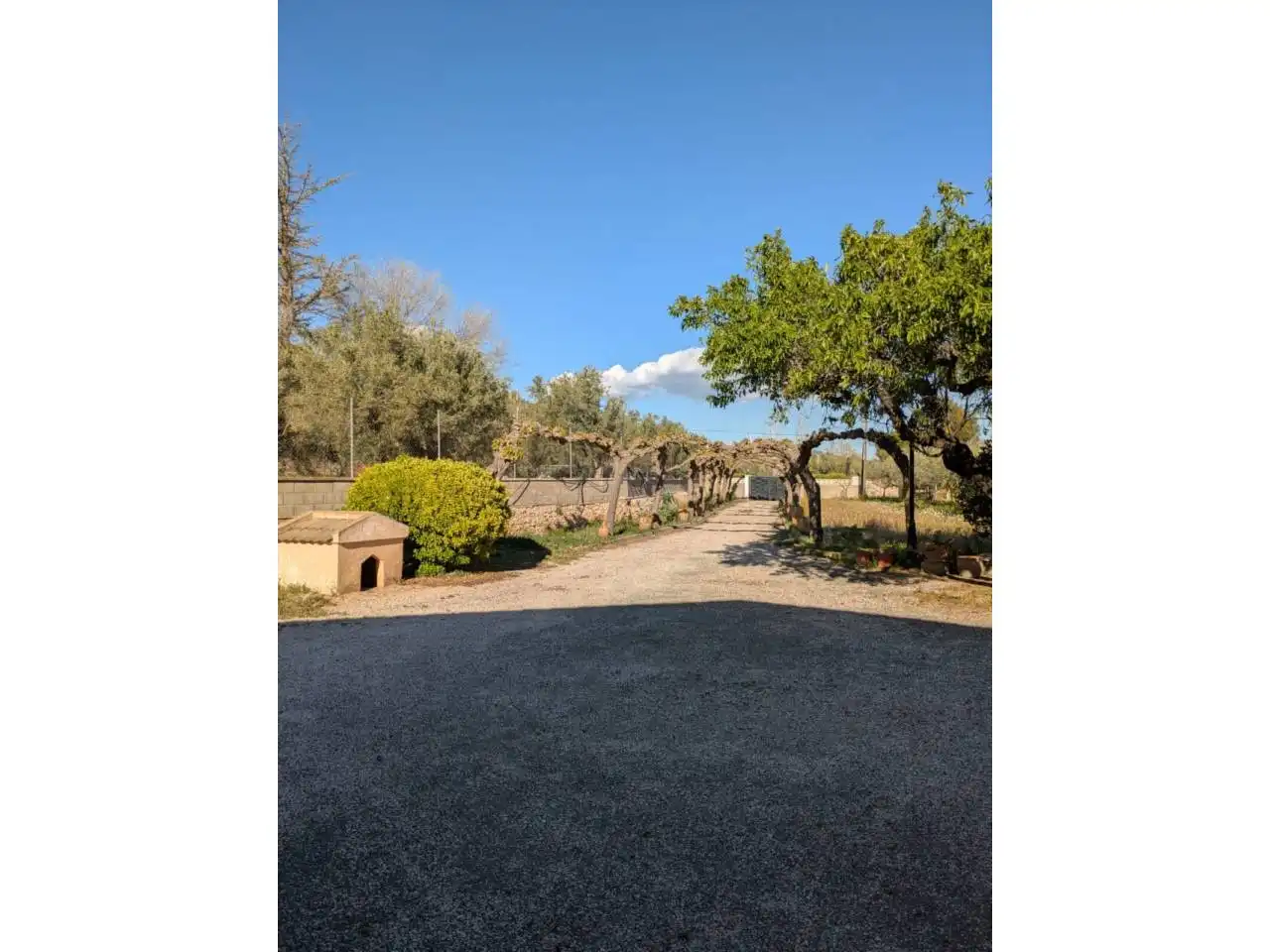 Villa con piscina in vendita a Onil, imagen 21