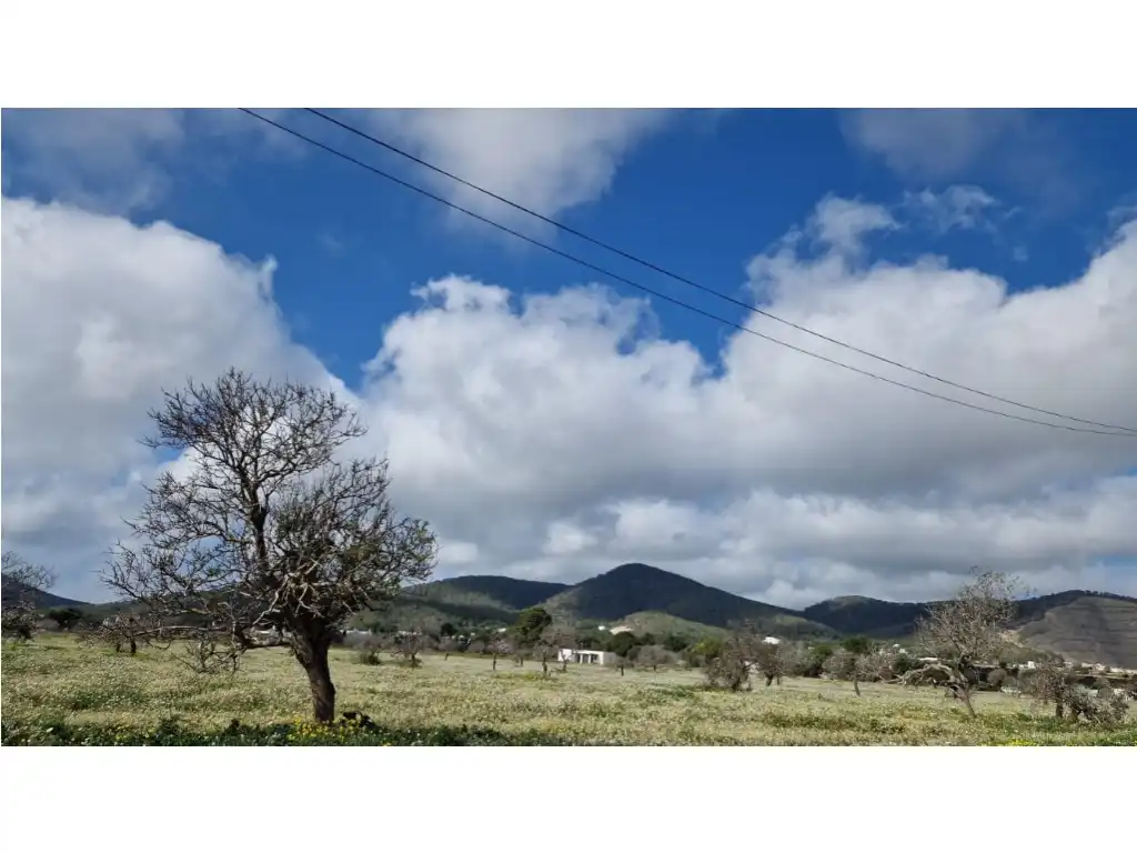 Terreny rústic en venda a Diseminados Can Aneta