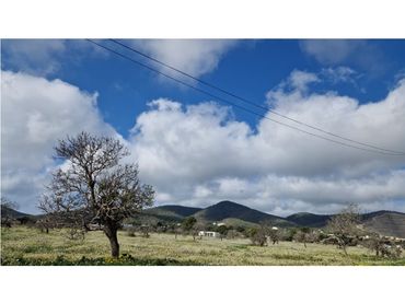 Terreno rustico in vendita a Diseminados Can Aneta