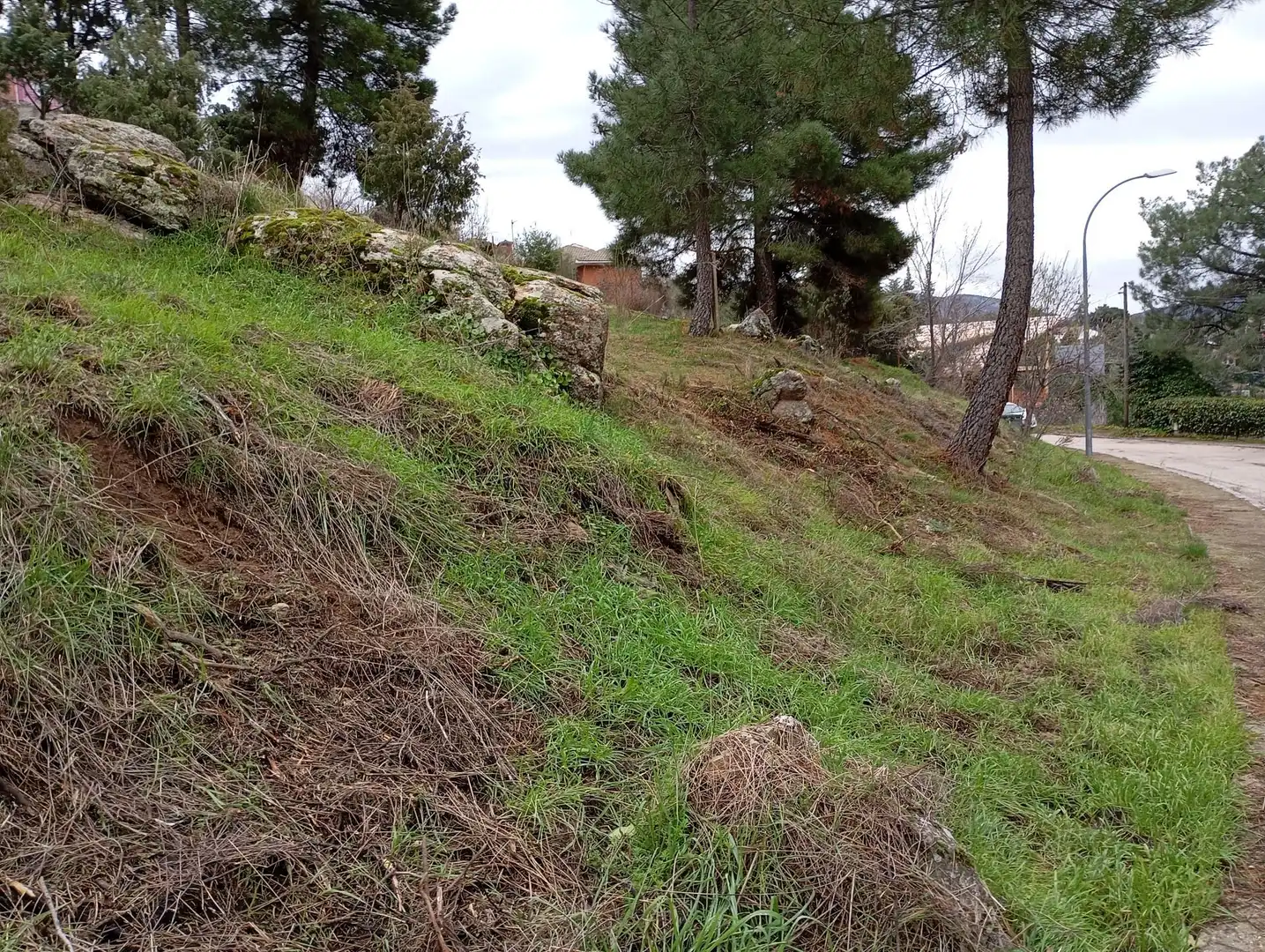 Terreni e lotti in vendita a Robledo de Chavela, imagen 6
