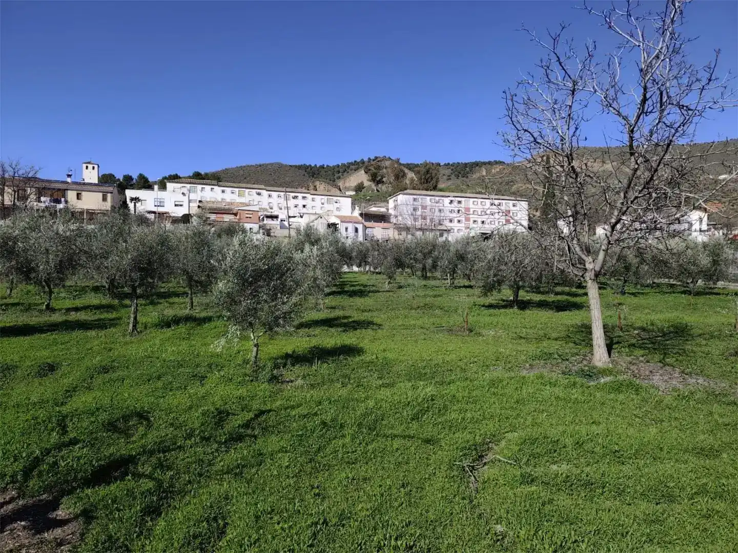Finca rústica en venda en Granada amb Jardí privat, Traster i Piscina