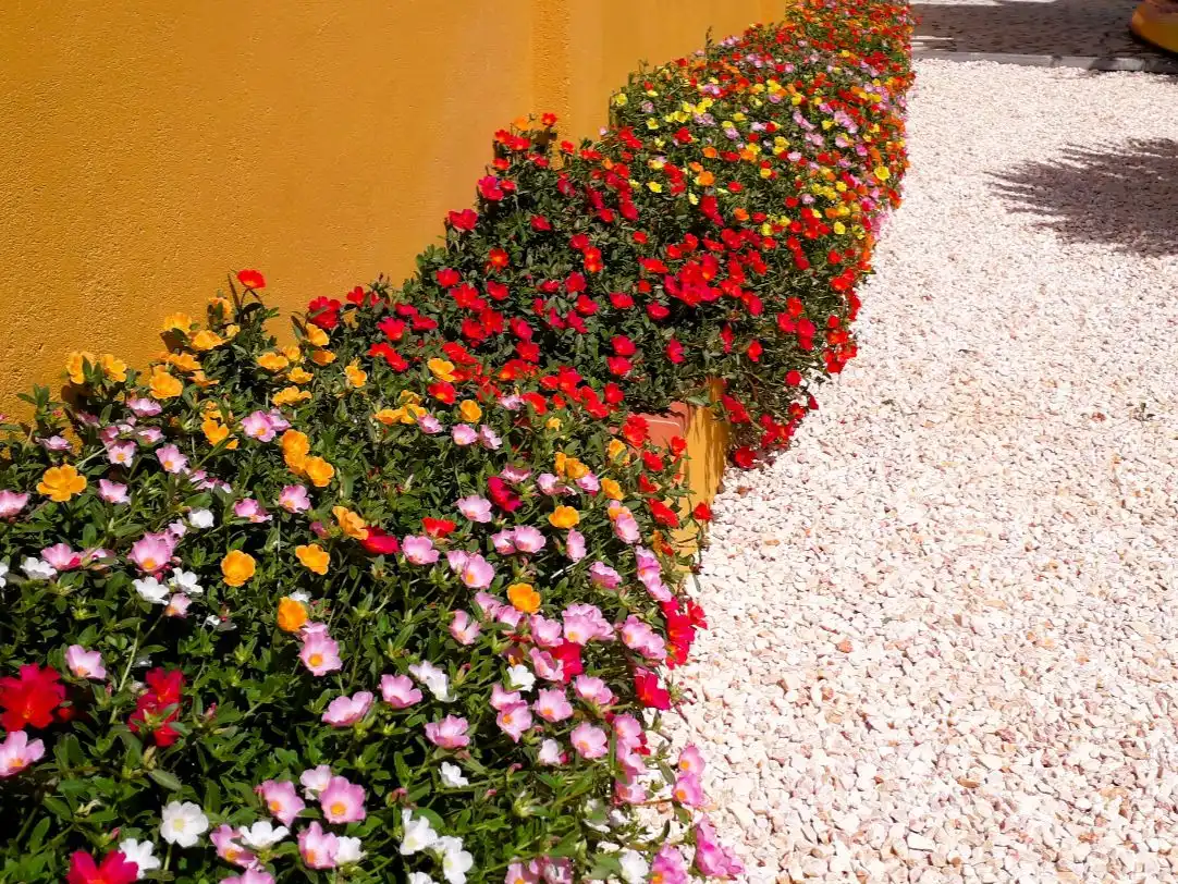 Casa con giardino in vendita a Avinguda Riells 1, imagen 23