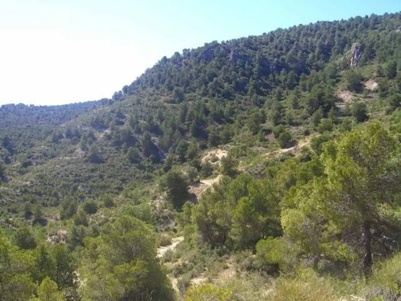 Terrains et parcelles à vendre à Pedanías Norte, imagen 18