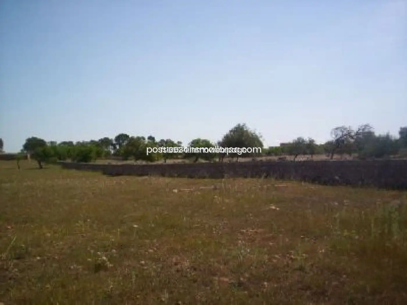 Terreno rustico in vendita a Algaida, imagen 18