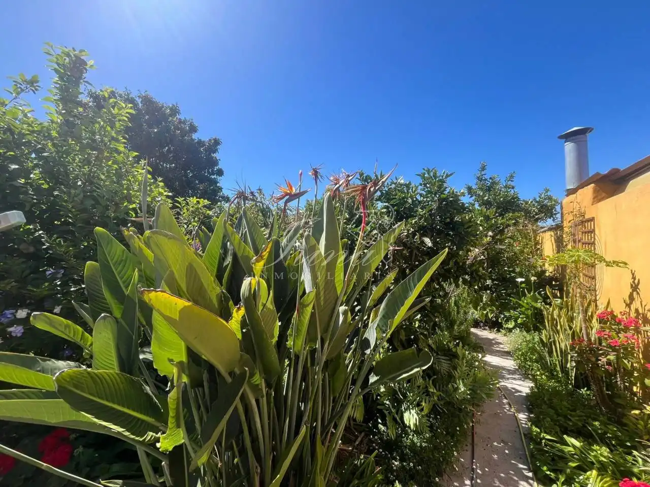 Vista exterior de Casa adosada en venta en El Paso con Jardín privado