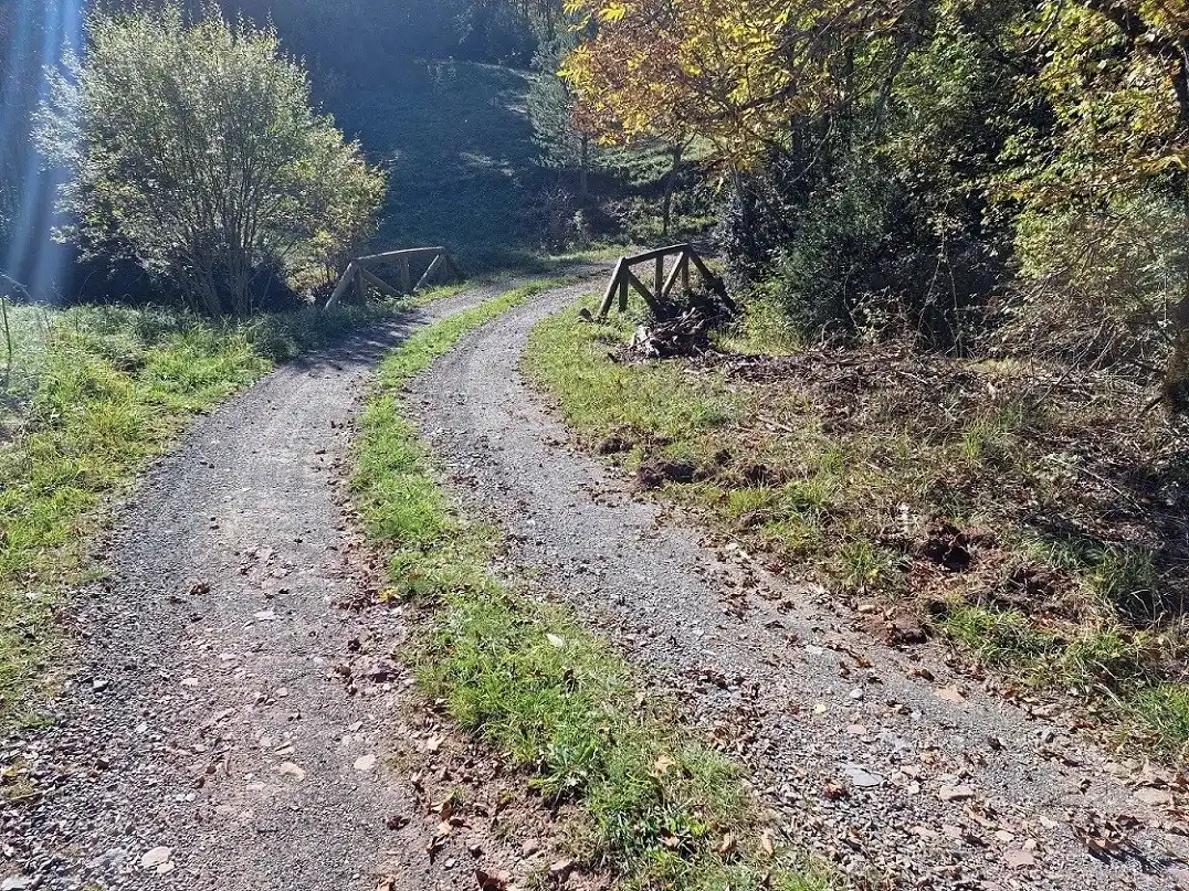 Vista exterior de Casa o xalet en venda en Benasque amb Calefacció, Jardí privat i Parquet