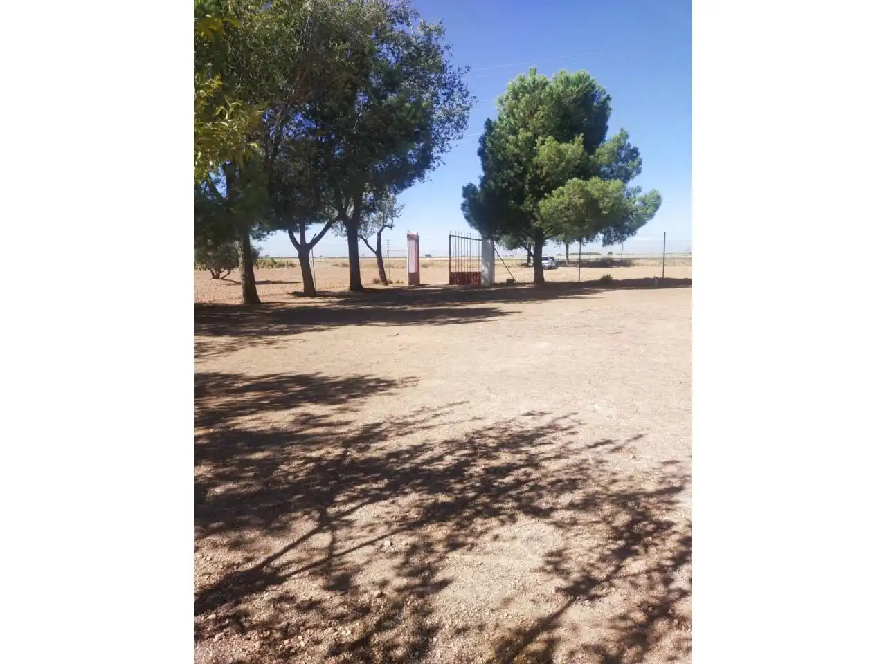 Terreny rústic en venda a Poligono 140 Parcela, imagen 17