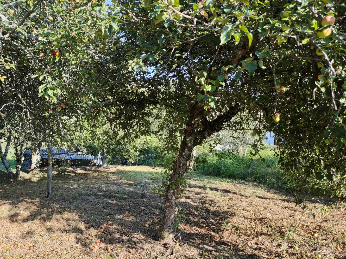 Wohnbaugrundstück zum Verkauf in Camiño Eixon 18, imagen 4
