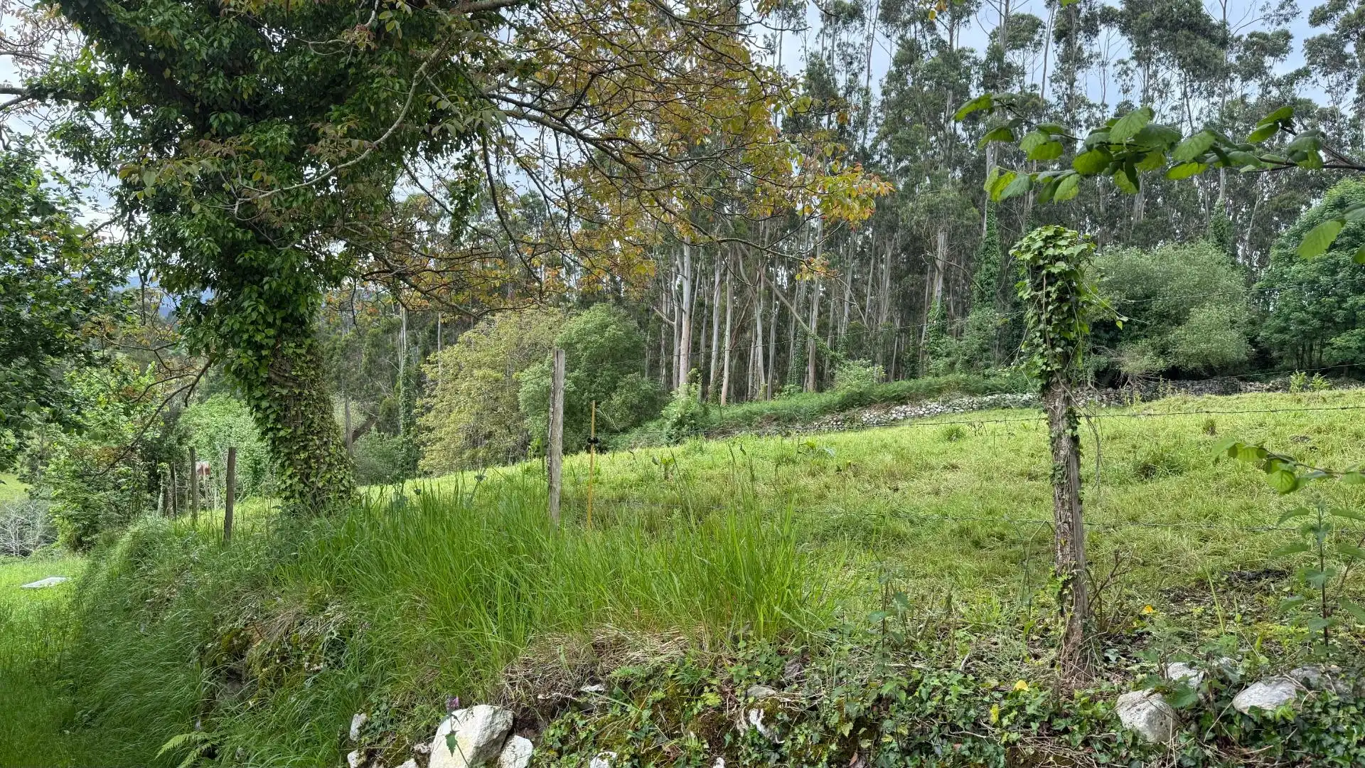 Terreno en venta en Valdáliga