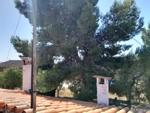Detached house with pool for sale in Montroi / Montroy, imagen 45