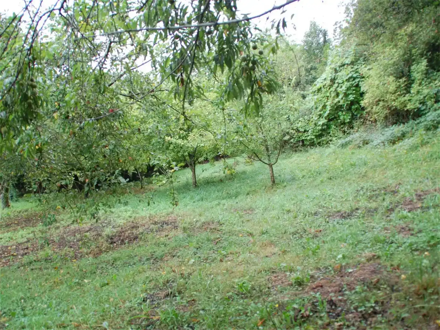 Finca rústica en venda en Cabrales