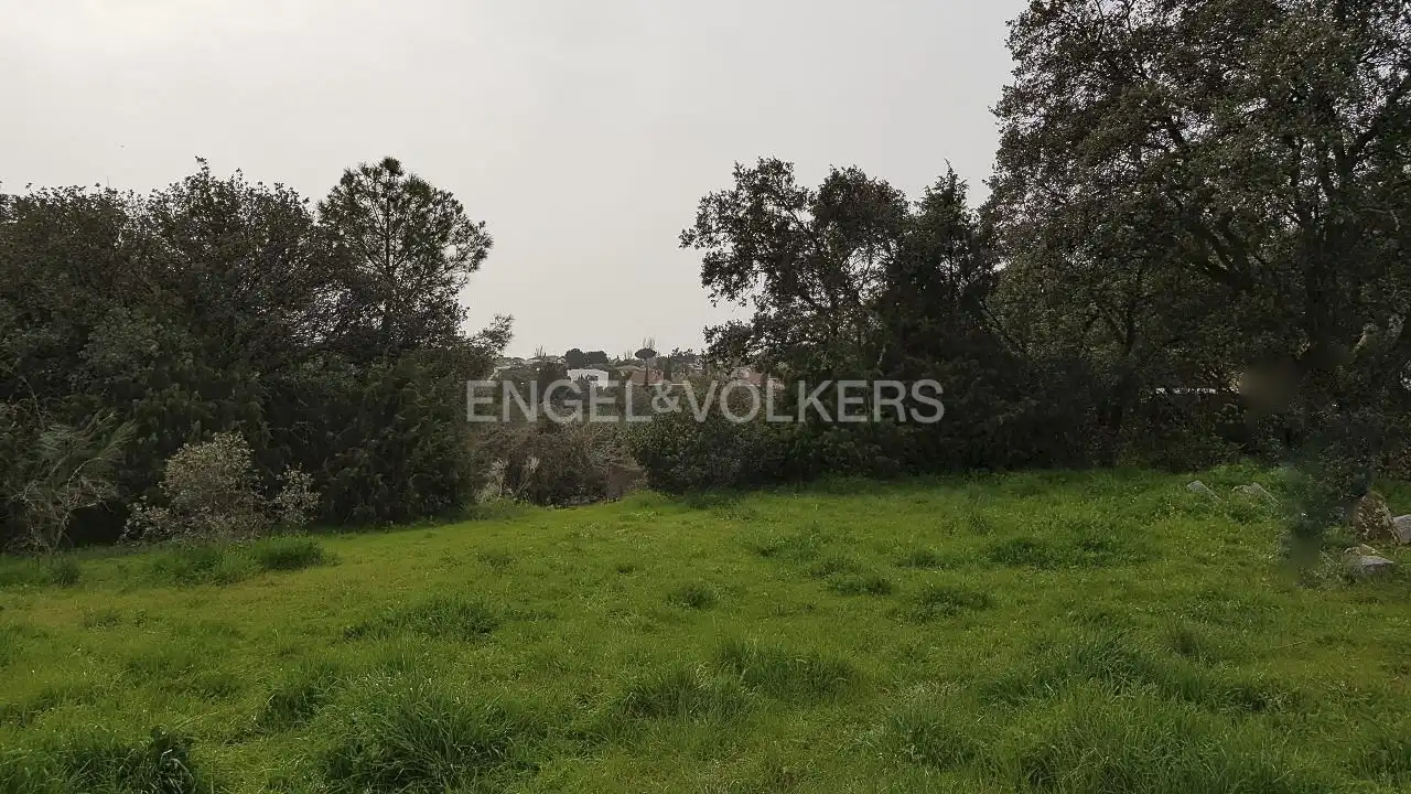 Terrenos y solares en venta en Las Matas  - Peñascales, imagen 7