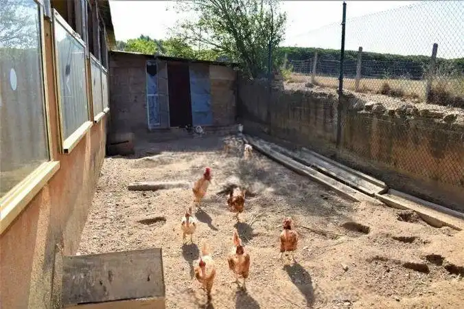 Terrenos y solares en venta en Mas Mora - Sant Daniel, imagen 33