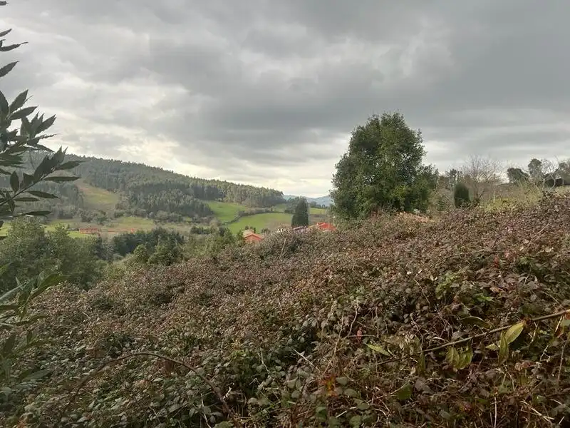 Terreno rustico in vendita a Selorio - Tornón, imagen 2