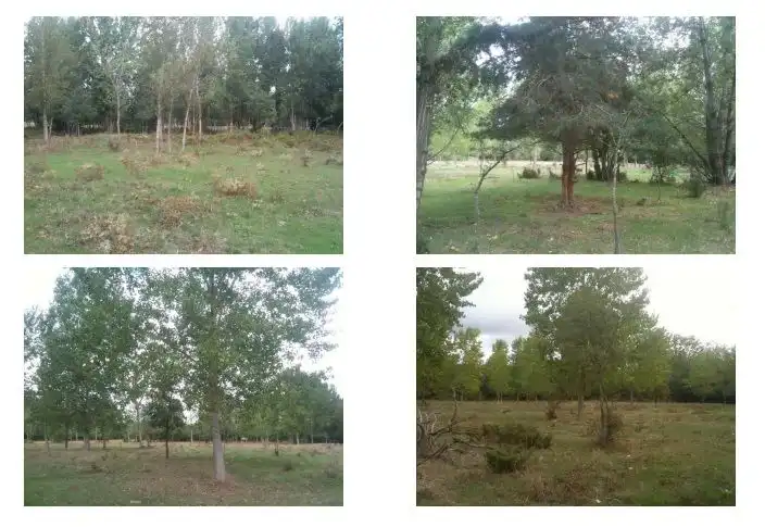Rural land for sale in Medina de Pomar, imagen 2