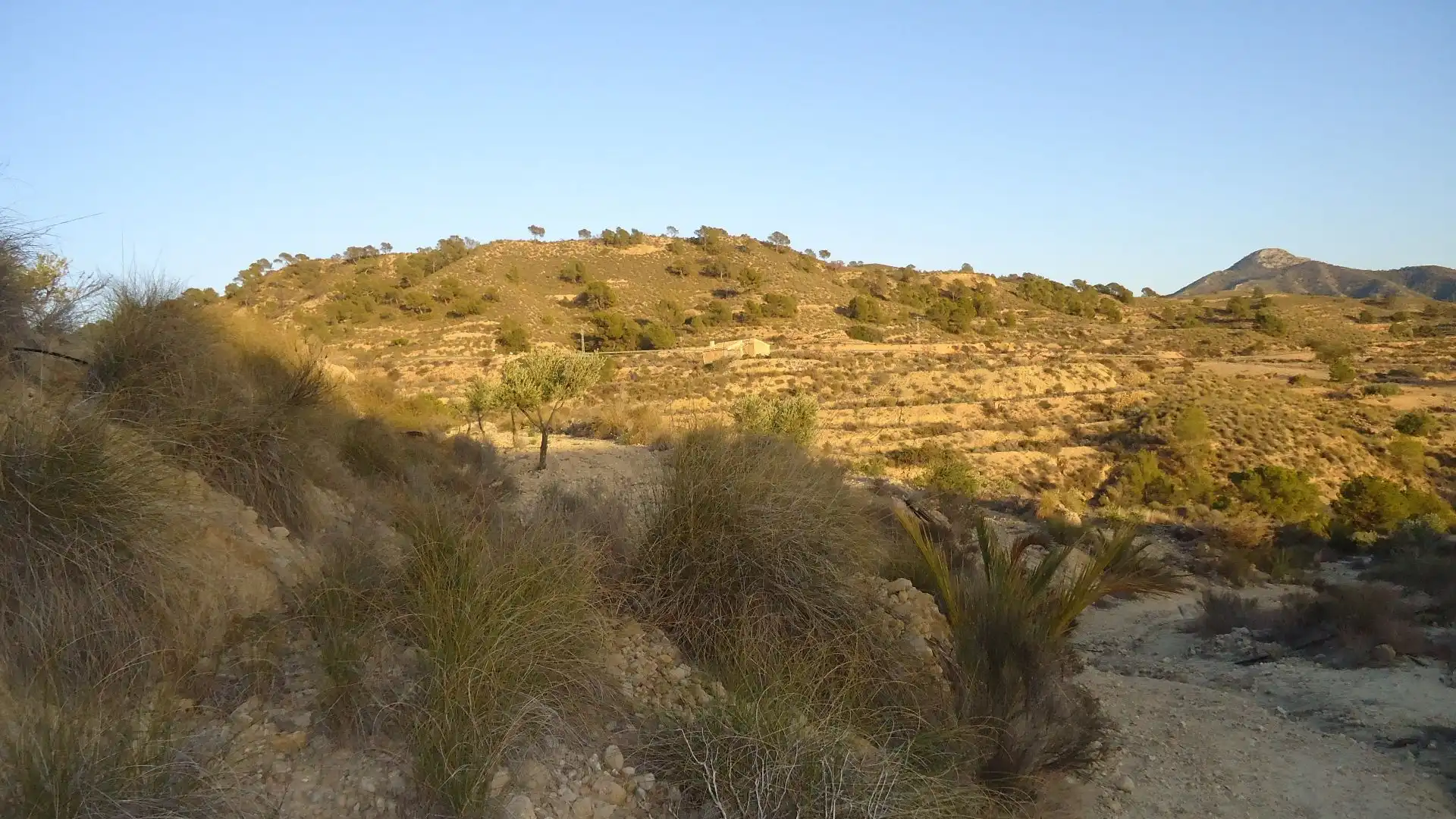 Lands and plots for sale in Abanilla, imagen 9