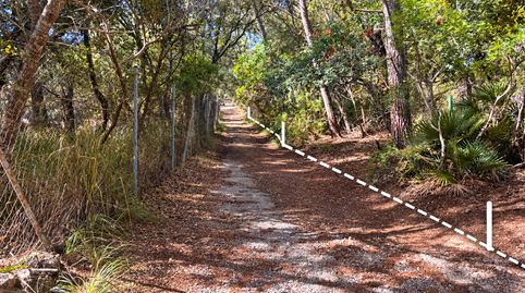 Terreno rústico de 14.000 m² en Son Net – Puigpunyent, Serra de Tramuntana., immagine 3