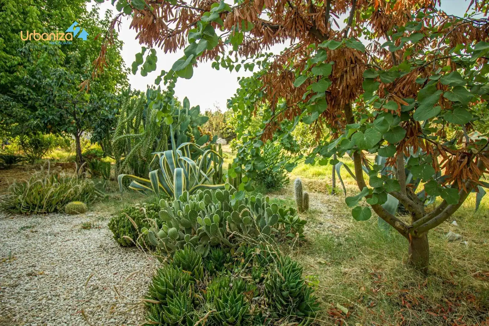 Jardín de Casa o chalet en venta en Badajoz con Calefacción, Jardín privado y Terraza