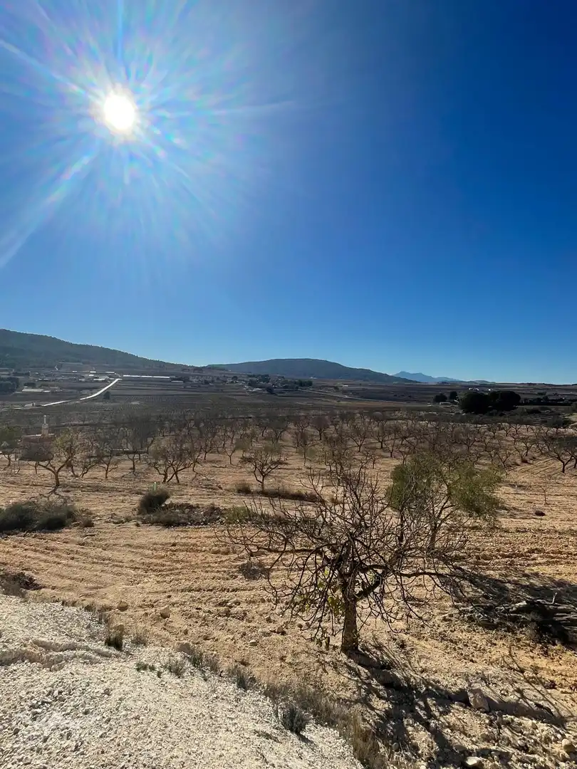 Wohnbaugrundstück zum Verkauf in El Pinós / Pinoso, imagen 19