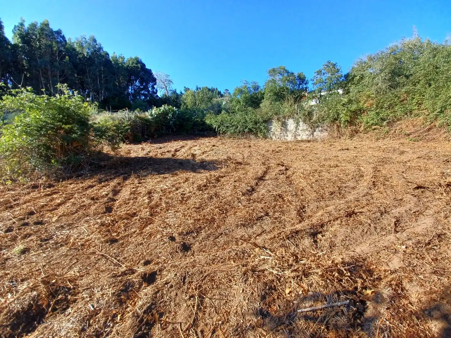 Terrenys i solars en venda a La Esperanza - Llano del Moro, imagen 10