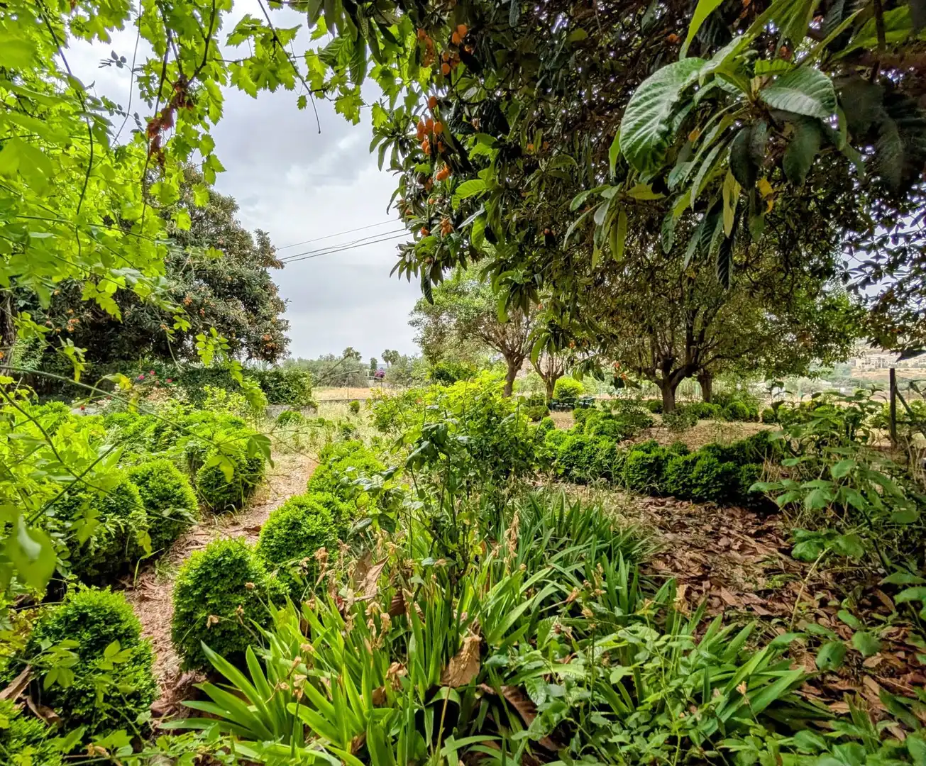Casa o xalet en venda en Loja amb Aire condicionat, Calefacció i Jardí privat
