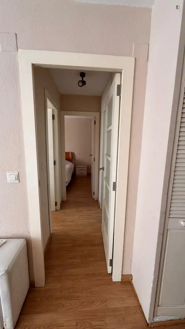 Apartments for rent in Ciutat de les Ciències i de les Arts - Justicia