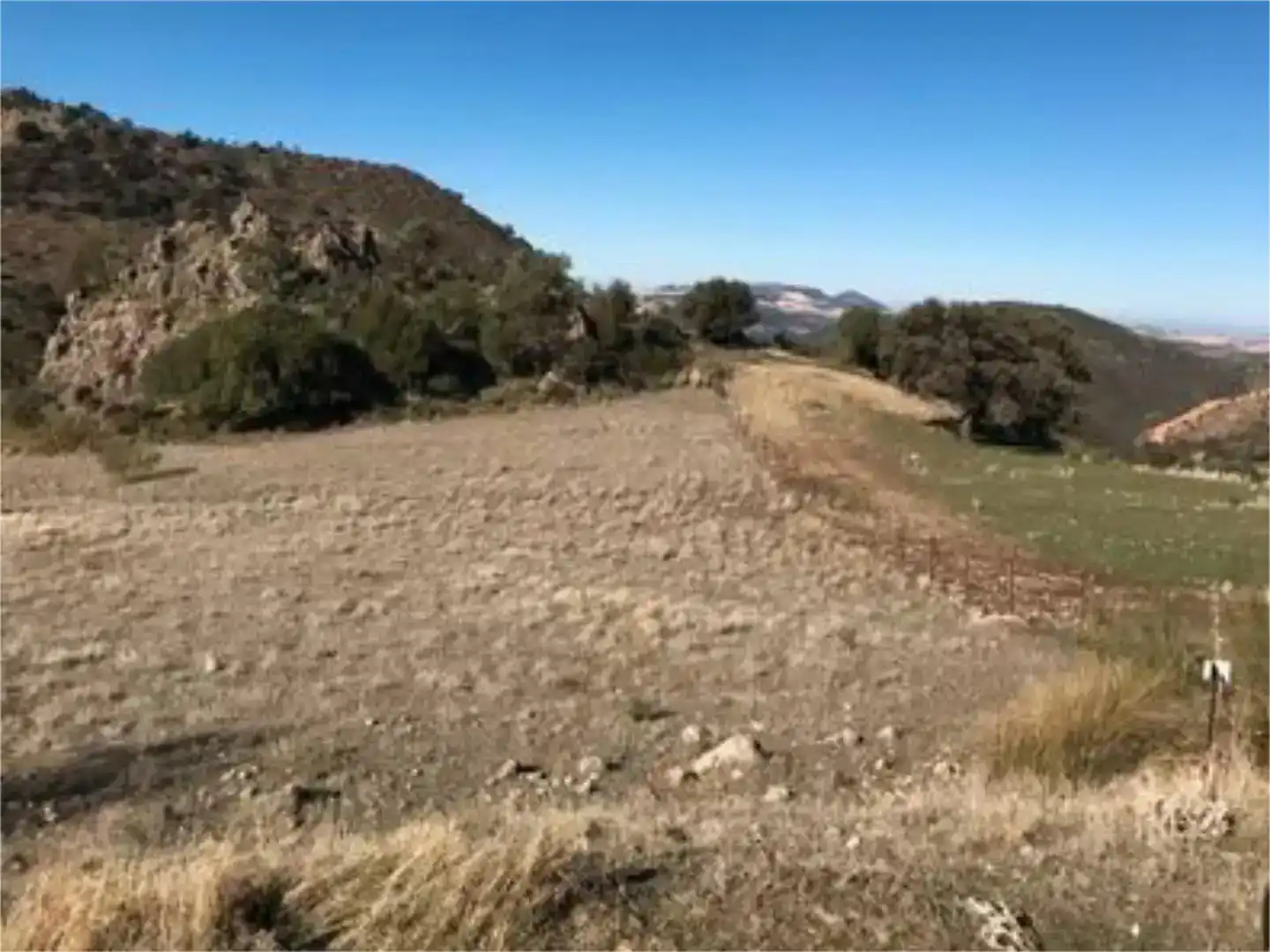 Finca rústica en venda en Algodonales
