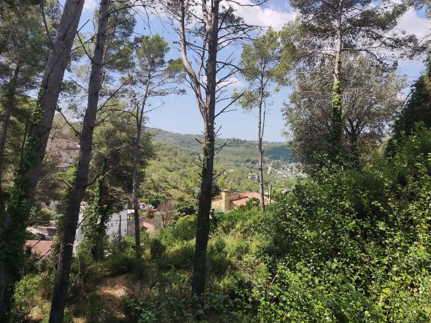 Terreny residencial en venda a Carrer de les Muntanyes de Prades, 8, Olivella, Spain 8, imagen 7
