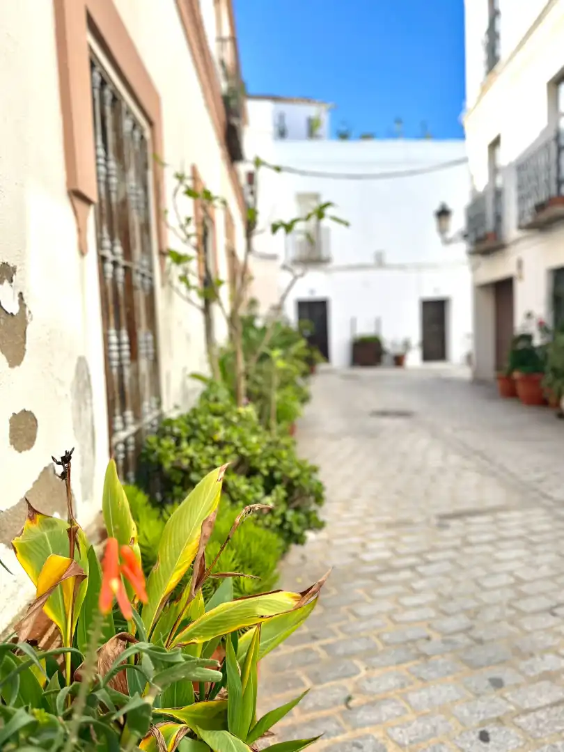 Wohnung zum Verkauf in Calle Gravina 5, imagen 8