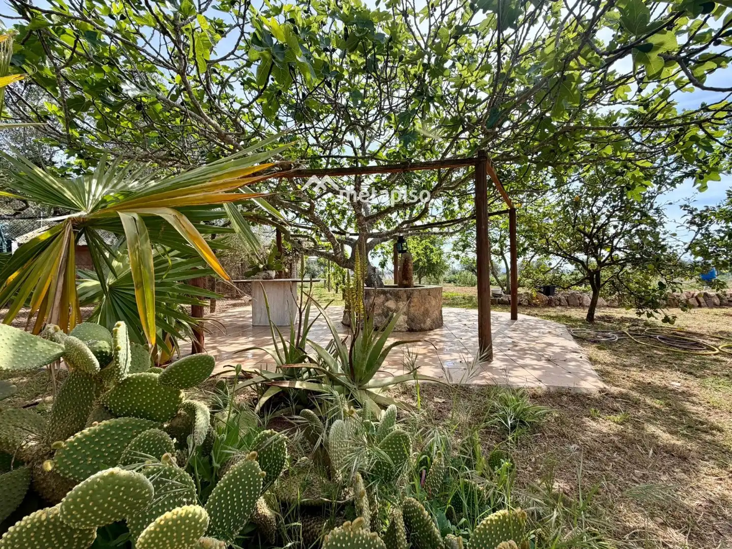 Terreno rustico in vendita a Santa Oliva, imagen 42