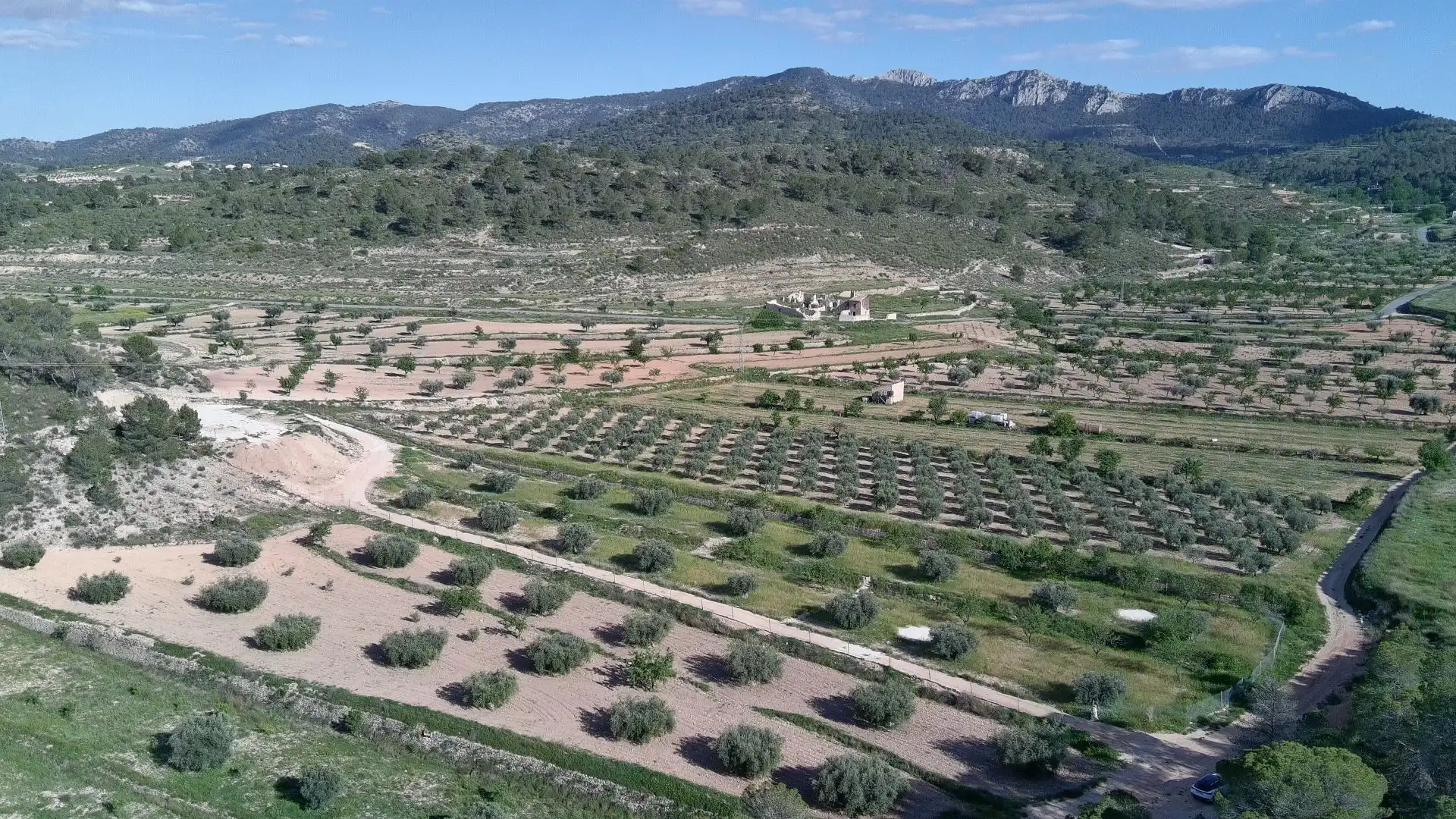 Grundstücke zum Verkauf in Jumilla