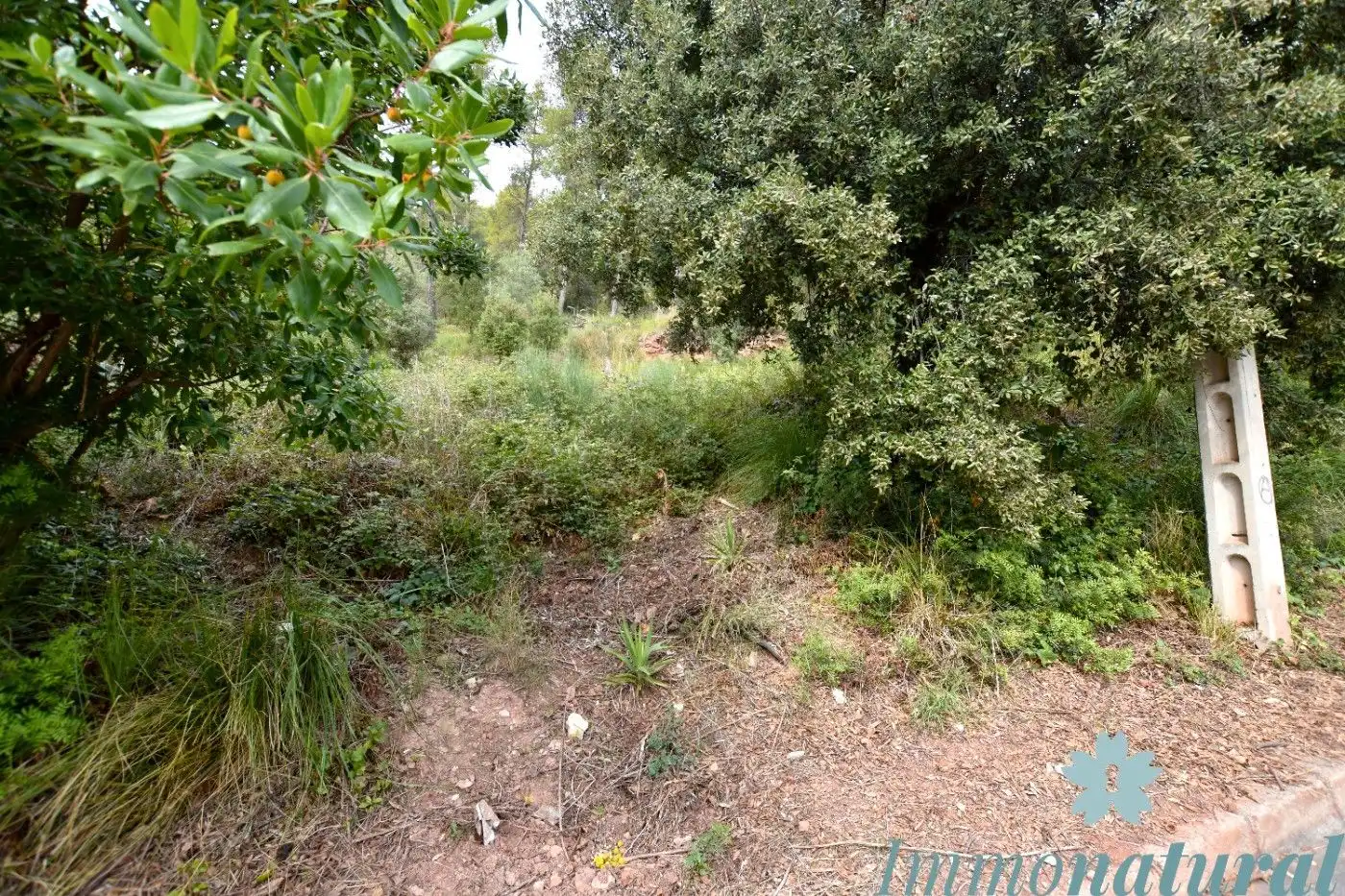 Terreno residencial en venta en Calle Rafael Casanova 10