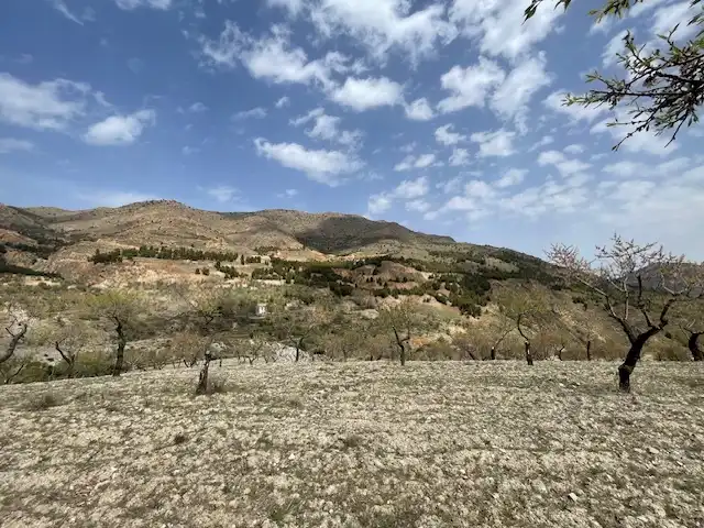 Rural land for sale in Alcudia de Monteagud, imagen 8