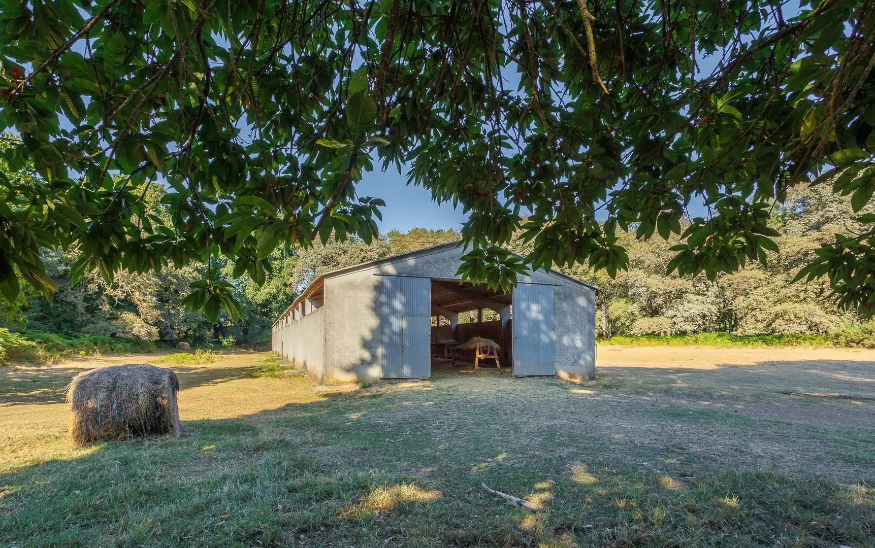 Vista exterior de Finca rústica en venta en Outeiro de Rei