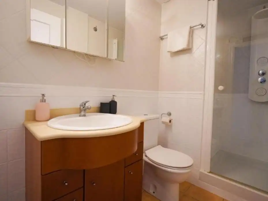 Bany de Apartament en venda en Amposta amb Aire condicionat, Terrassa i Balcó