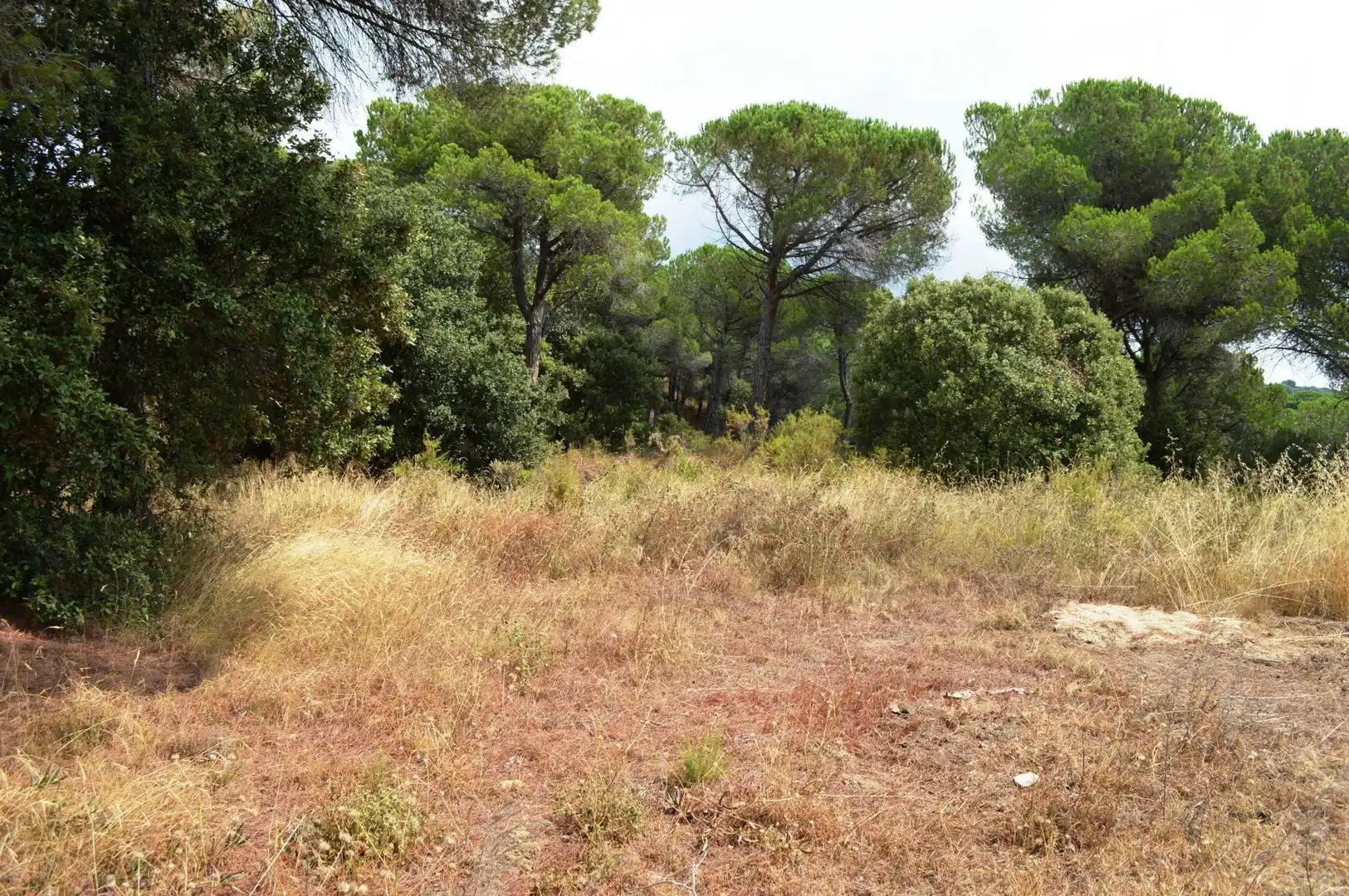 House with pool for sale in Camí de Can Cabot de munt 2, imagen 22