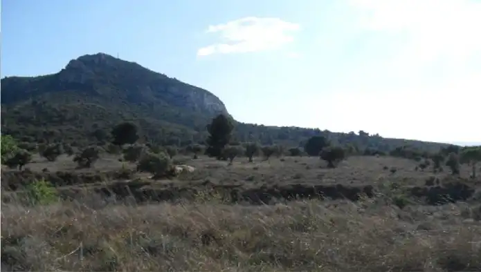 Terreno rústico en venta en Ptda Pinar, imagen 7