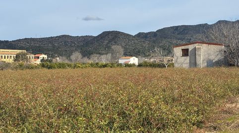 FINCA RÚSTICA CON ALMACEN, image 5