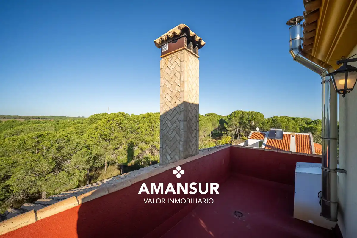 Chalet con piscina en venta en Avenida del Almendro, imagen 88