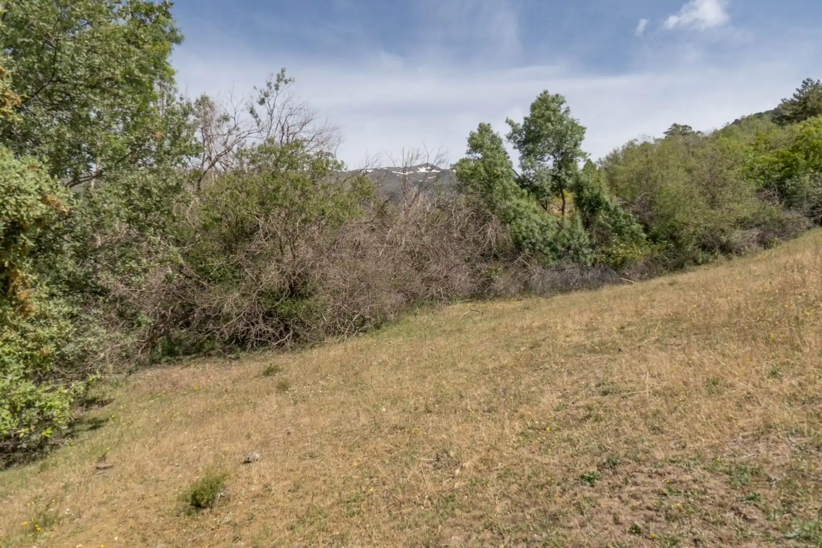 Terreno en venta en Soportújar