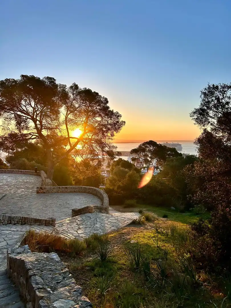 Vista exterior de Piso en venta en  Palma de Mallorca con Aire acondicionado, Terraza y Balcón