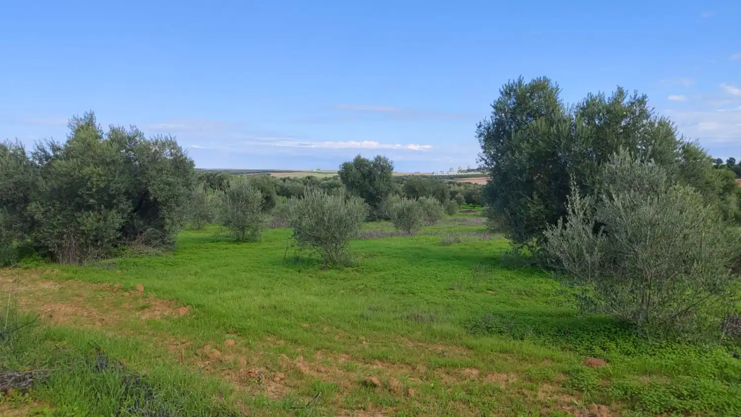 Maison rustique à vendre à Gibraleón