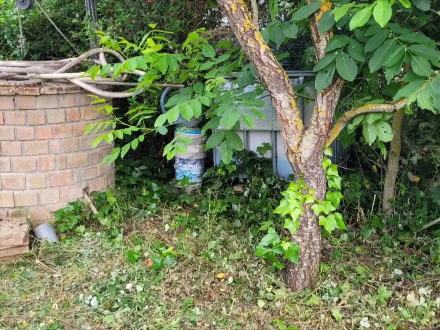 Jardí de Finca rústica en venda en Allín / Allin