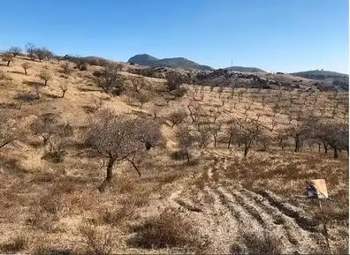Terrain rustique à vendre à Huércal-Overa, imagen 6